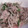 ぽってりうさぎ's cooksnap of when they made 豚肉とにらのもやし炒め.