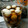 姫ぽんず's cooksnap of when they made 味付きうずらの卵.