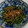 bluerose3's cooksnap of when they made 簡単アク抜き不要♪わらびと油揚げの炒め煮.