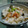 チョボー's cooksnap of when they made 塩鮭ときのこの混ぜご飯.