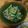 クック1NAUYX☆'s cooksnap of when they made 簡単♪もやしときゅうりのさっぱりナムル.