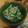 クック1NAUYX☆'s cooksnap of when they made 簡単♪もやしときゅうりのさっぱりナムル.