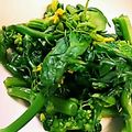 ユーロン's cooksnap of when they made 菜の花のおひたし.