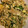 ねろころ's cooksnap of when they made とうふとニラのちゃんぷる.