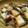蒟蒻バタコ's cooksnap of when they made 厚揚げと舞茸・オクラの甘辛炒め.
