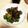 yuka119's cooksnap of when they made なす＆ぴーまんのオイスター炒め☆.