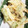 KUMI KUMI's cooksnap of when they made うどとさやえんどうの天ぷら.