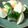 大魔女's cooksnap of when they made 梅昆布茶de我が家の簡単浅漬け.