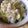 naoexoxo's cooksnap of when they made ♪春の香り♡ふきご飯♪.
