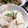 はまゆっき's cooksnap of when they made 竹の子ご飯.