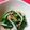 taako1552's cooksnap of when they made ほうれん草ともやしの梅肉和え.