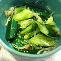 クック33BK6M☆'s cooksnap of when they made 男子ごはん的キュウリとミョウガごま油和え.