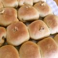 えみち2012's cooksnap of when they made 胡桃の黒糖ちぎりパン♪.