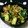 westerly's cooksnap of when they made 簡単！きゅうりの梅干し合え.