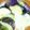 ちゃみきゅん's cooksnap of when they made お弁当の手作り冷凍おかず～茄子味噌.