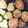 nomuyogurt's cooksnap of when they made 食べやすいピーマンの肉詰め.