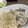 伊藤。's cooksnap of when they made 話題入☆我が家の秘伝＊ビーフストロガノフ.