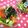 あーもこ's cooksnap of when they made サニーレタスと海苔サラダ.
