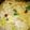 クックJXDG7K☆'s cooksnap of when they made お疲れ様☆簡単みそ雑炊.