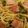 まつこ・ω・'s cooksnap of when they made 春の香り♪ふきのとうパスタ.