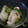 チョビ～☆'s cooksnap of when they made かぶときゅうりの昆布茶漬け.