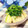 ぽっぽぺぺ's cooksnap of when they made 筍とセリの酢味噌和え✿.