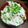 ♡すずりん♡'s cooksnap of when they made 夏バテに☆冷しゃぶおろしうどん.