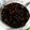 たそいひと's cooksnap of when they made 圧力鍋でふっくらツヤツヤ黒豆煮.