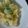 ★くまた★☆'s cooksnap of when they made 彩り爽やか♡そら豆のポテトサラダ♪.