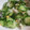 あやひろゆめ's cooksnap of when they made きゅうりとコーンの大根おろし酢の物♪.