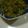 クックQD81I1☆'s cooksnap of when they made 春の味！ふきのとう味噌.