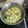 クックWRM5SL☆'s cooksnap of when they made 絶品♪豚肉と白菜のミルフィーユ鍋.