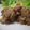 あやモッコ's cooksnap of when they made 豚ともやしでから揚げ♪.