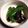 ホッシン's cooksnap of when they made なすとピーマンのめんつゆ漬け.