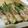 三休です's cooksnap of when they made たらの芽の肉巻き.
