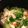 ブリーチーズ's cooksnap of when they made 白菜と豆腐の中華煮.