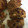 クック2HGI0H☆'s cooksnap of when they made れんこんの挟み焼き.