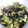 かみほたる's cooksnap of when they made しらすときゅうりとわかめの和え物.