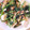 4時ママ's cooksnap of when they made あっさり◎ほうれん草と豆腐の中華炒め.