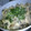 たまちゅん☆'s cooksnap of when they made あっさりきのこの卵丼★.