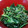 ばななあいすたべたい's cooksnap of when they made ほうれん草の胡麻和え.