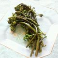 ﾁｲﾁｬﾝﾏﾏ's cooksnap of when they made わらびのわさび♪.