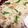 ☆しづしづ☆'s cooksnap of when they made きのこたっぷり♪おこわ.
