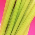 むーりー's cooksnap of when they made フキの下茹で(灰汁抜き).