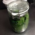 mameaki's cooksnap of when they made ミントシロップ.