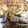 みゆだんご's cooksnap of when they made もやしたっぷり、もやし焼きそば.