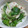 daikanon's cooksnap of when they made 三つ葉と蒲鉾と梅干で和え物.