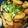Ｍｒ．ポテトヘッド's cooksnap of when they made タケノコと椎茸.