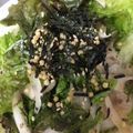 みおまま★'s cooksnap of when they made ☆梅としょうゆの和風オニオンサラダ☆.