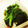 クックJAAF6A☆'s cooksnap of when they made 簡単に◆ほうれん草のおひたし.